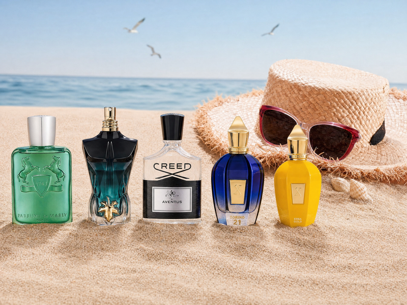 Summer Discovery Set